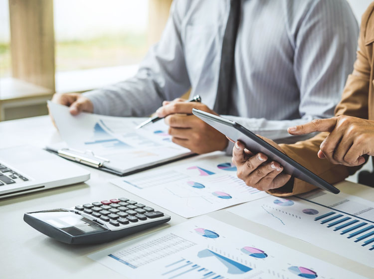 Asesores de proyectos integrales